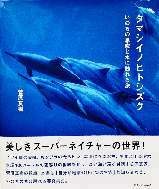 すがはらまき　プロフィール画像