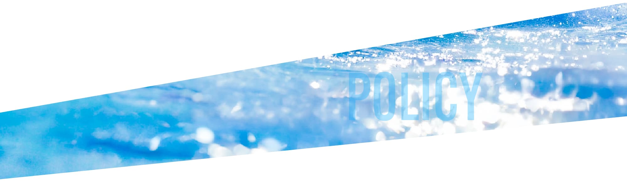 政策